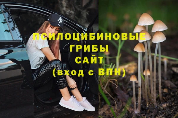 гидропоника Балахна