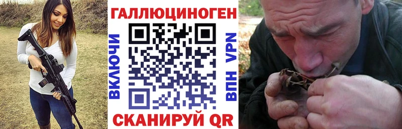 Псилоцибиновые грибы Cubensis  где купить наркотик  Магас 